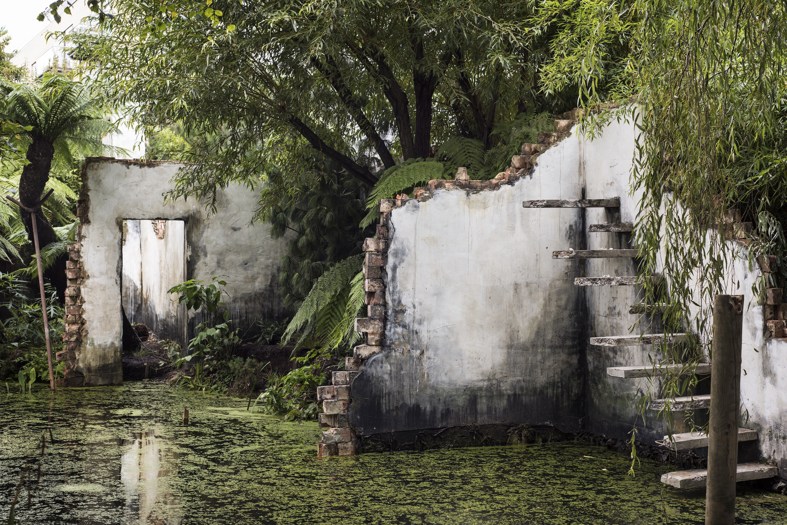 A building ruin, over run by plants and partially submerged in water